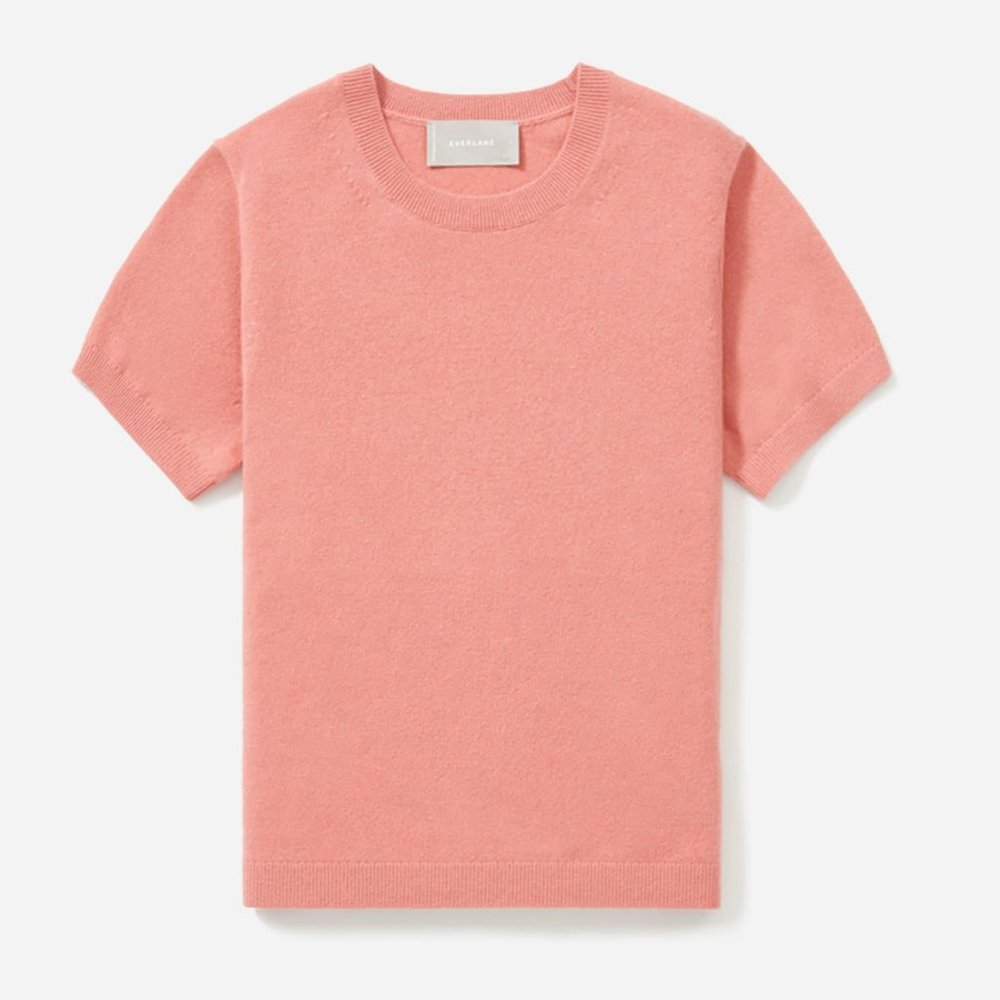 Everlane Cashmere Sweater Tee in Pink Topaz